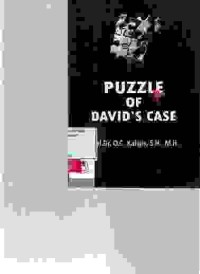 Image of Puzzle of David`s Case