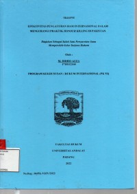 Image of Efektivitas pengaturan HAM Internasional dalam mengurangi praktik Honour Killing di Pakistan