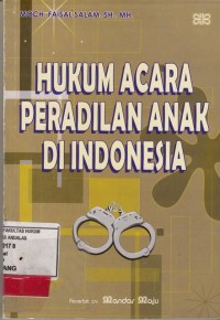 Image of Hukum Acara peradilan Anak di Indonesia