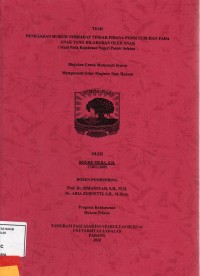 Image of Penegakan Hukum Terhadap Tindak Pidana Persetubuhan Pada Anak Yang Dilakukan Oleh Anak (studi pada kejaksaan negeri pesisir selatan)