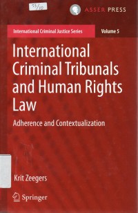 Image of International criminal tribunals and human rights law