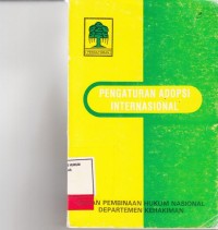 Image of Pengaturan Adopsi Internasional